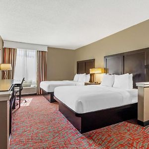 Queen Suite